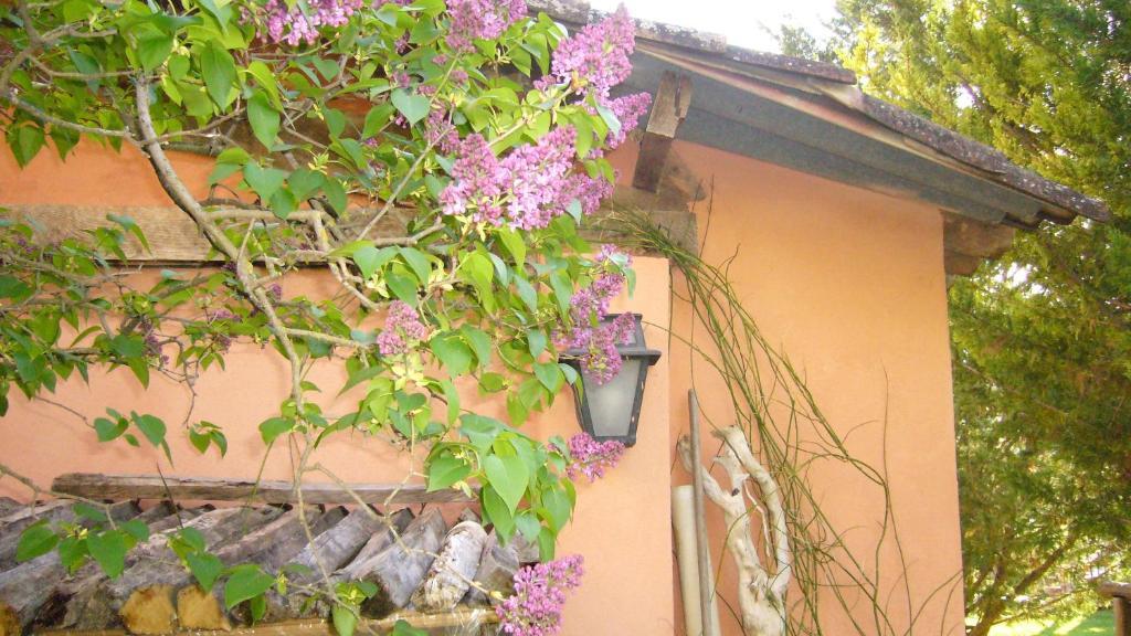 La Maison De Melen Moustiers-Sainte-Marie Dış mekan fotoğraf